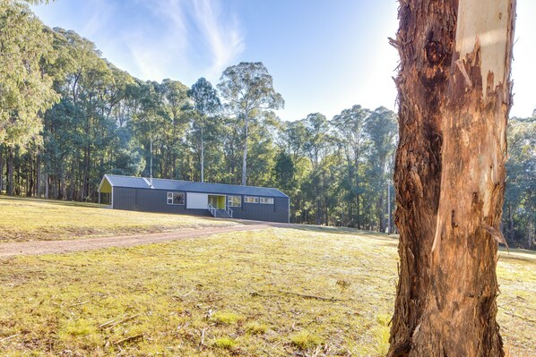 A modern building with a flat roof, surrounded by a grassy field and dense trees. - Nine Steps - private estate on 29 acres with stunning views of Mount Buffalo (Porepunkah)