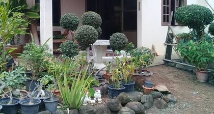 Baan Kokmuang Homestay