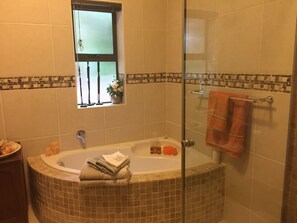Bathtub, hair dryer, bidet, towels