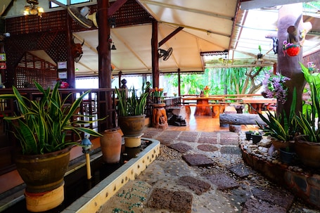 Terraço/pátio. Techno Riverview Resort