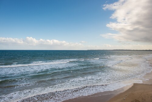 Beach Belle Queenscliff - Walk Everywhere - Free Wifi and Netflix