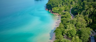 Beach Jungle Koh Chang
