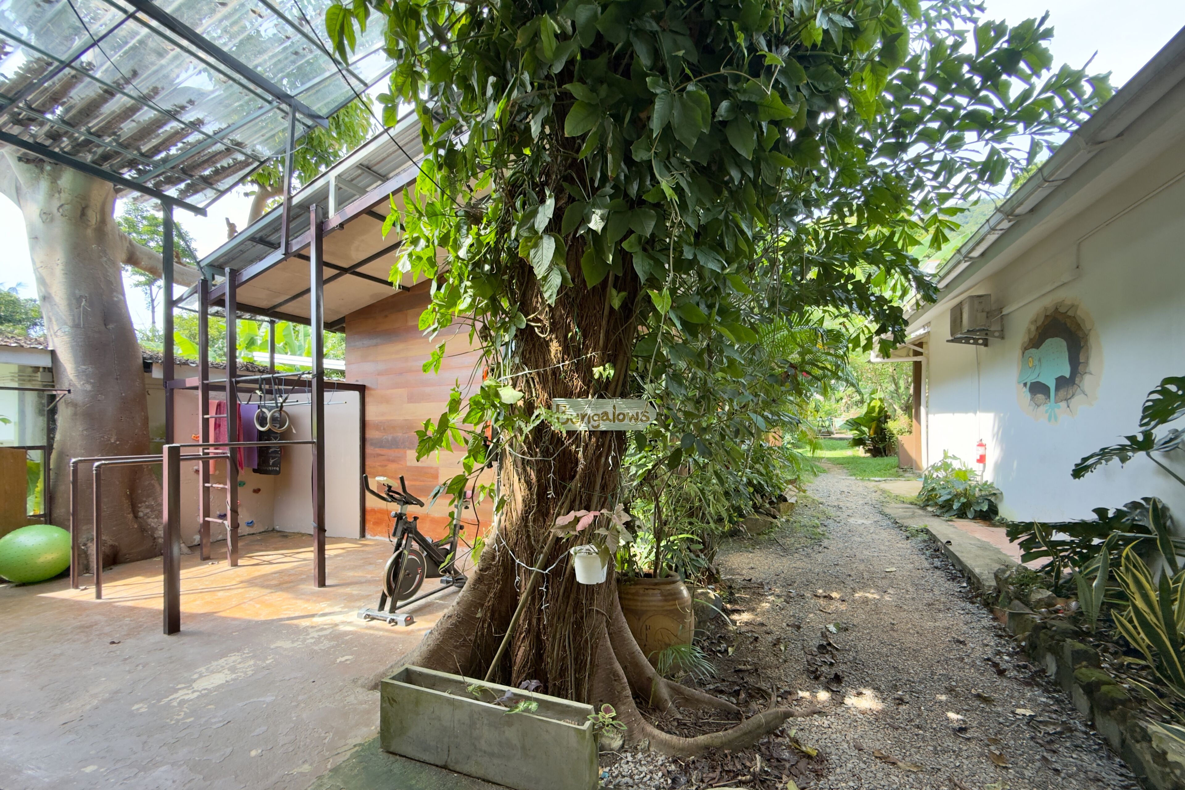 Un arbre amb un senyal, una estructura metàl·lica i un camí.