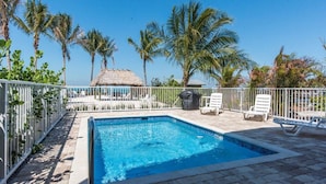 A rectangular swimming pool with a white fence, surrounded by lounge chairs and palm trees.