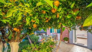 Un jardín con naranjos y plantas en flor, un patio con muebles de exterior, y un edificio de fachada rosa al fondo.