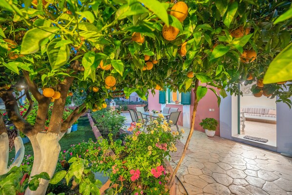 A garden with orange trees and flowering plants, a patio area with outdoor furniture, and a building with a pink facade in the background.