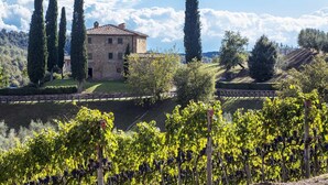 Un bâtiment en pierre, surmonté d’un toit de tuiles, entouré de vignes et de grands cyprès.