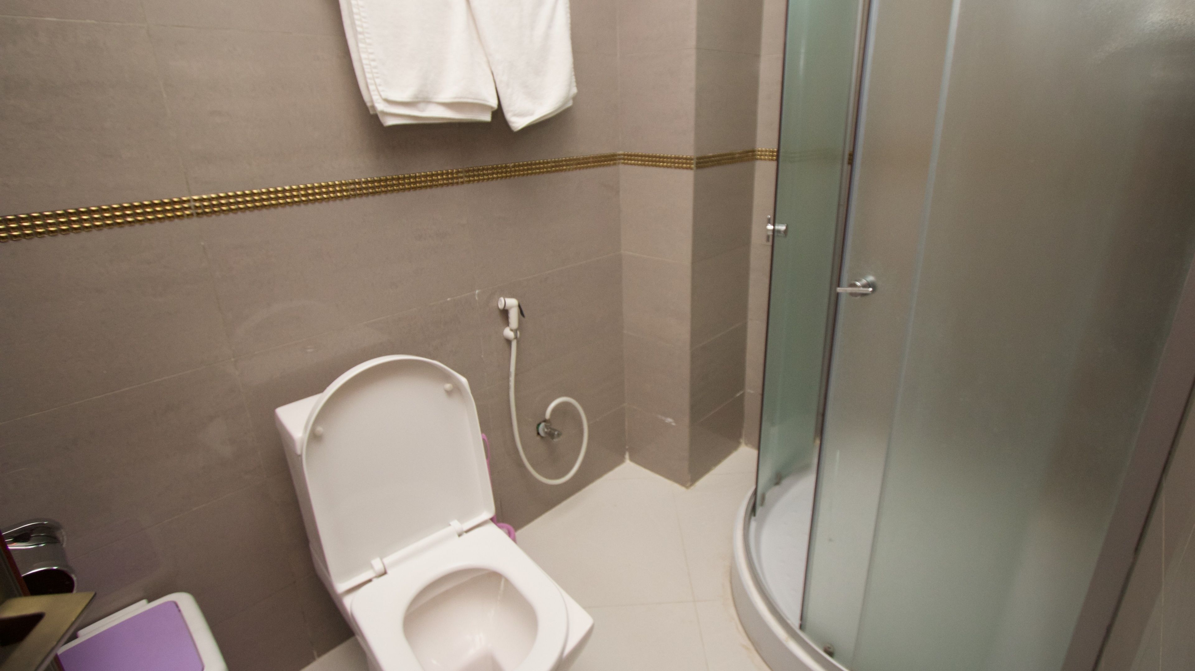 A bathroom with a toilet, a shower, and a towel rack.