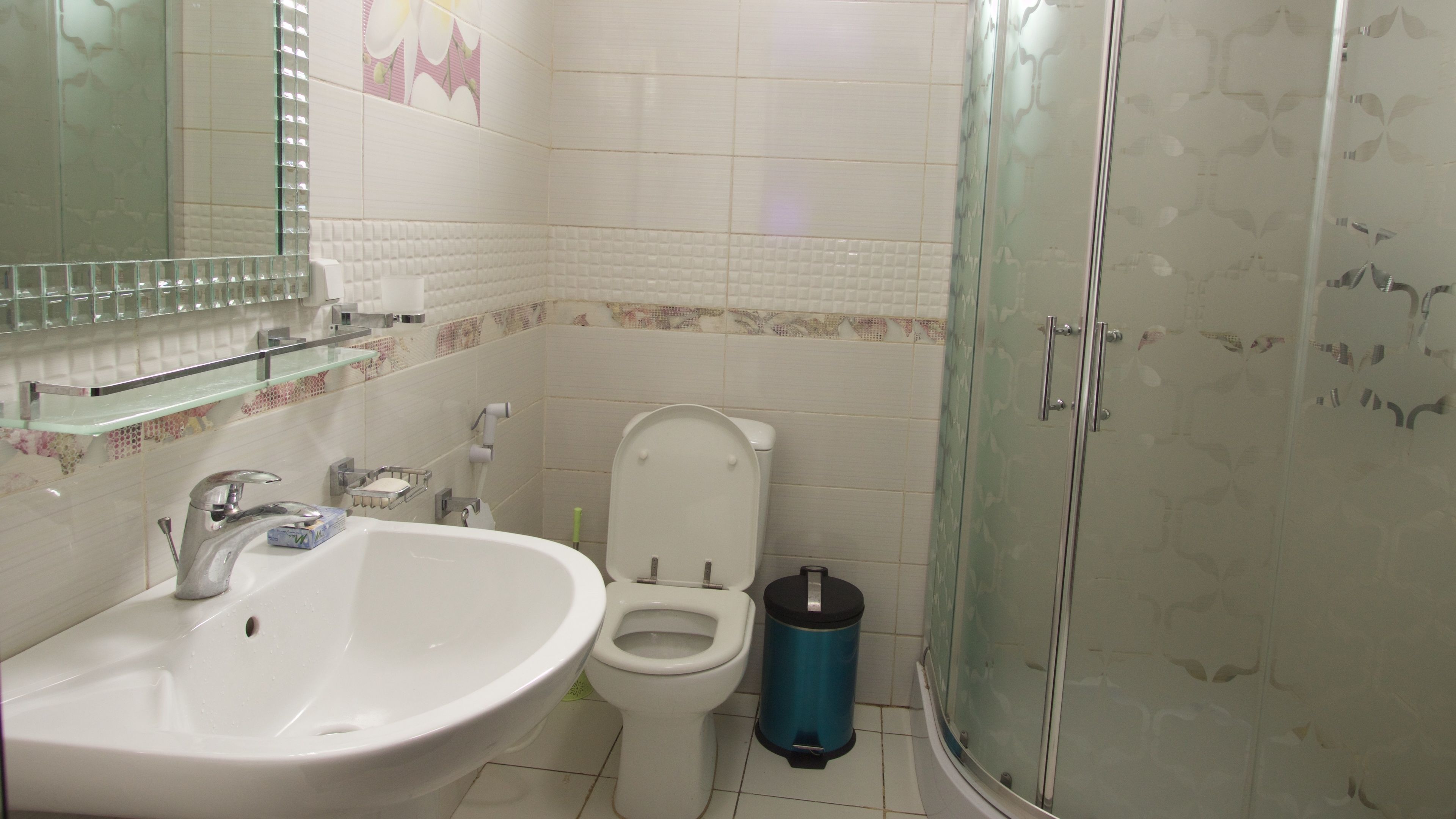 Une salle de bain avec un lavabo, des toilettes et une douche.