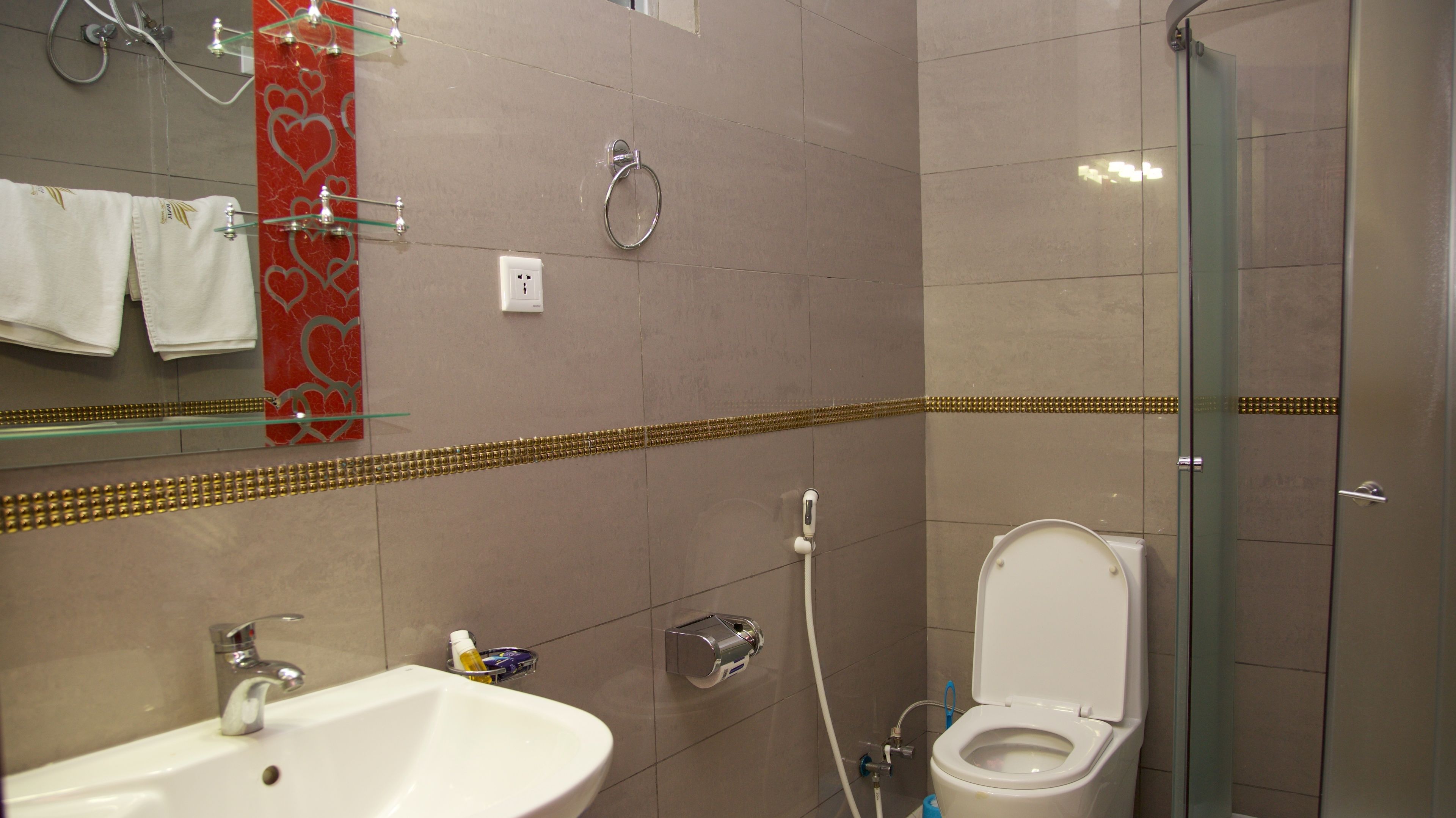 A modern bathroom with a glass shower enclosure, a white sink, and a toilet.