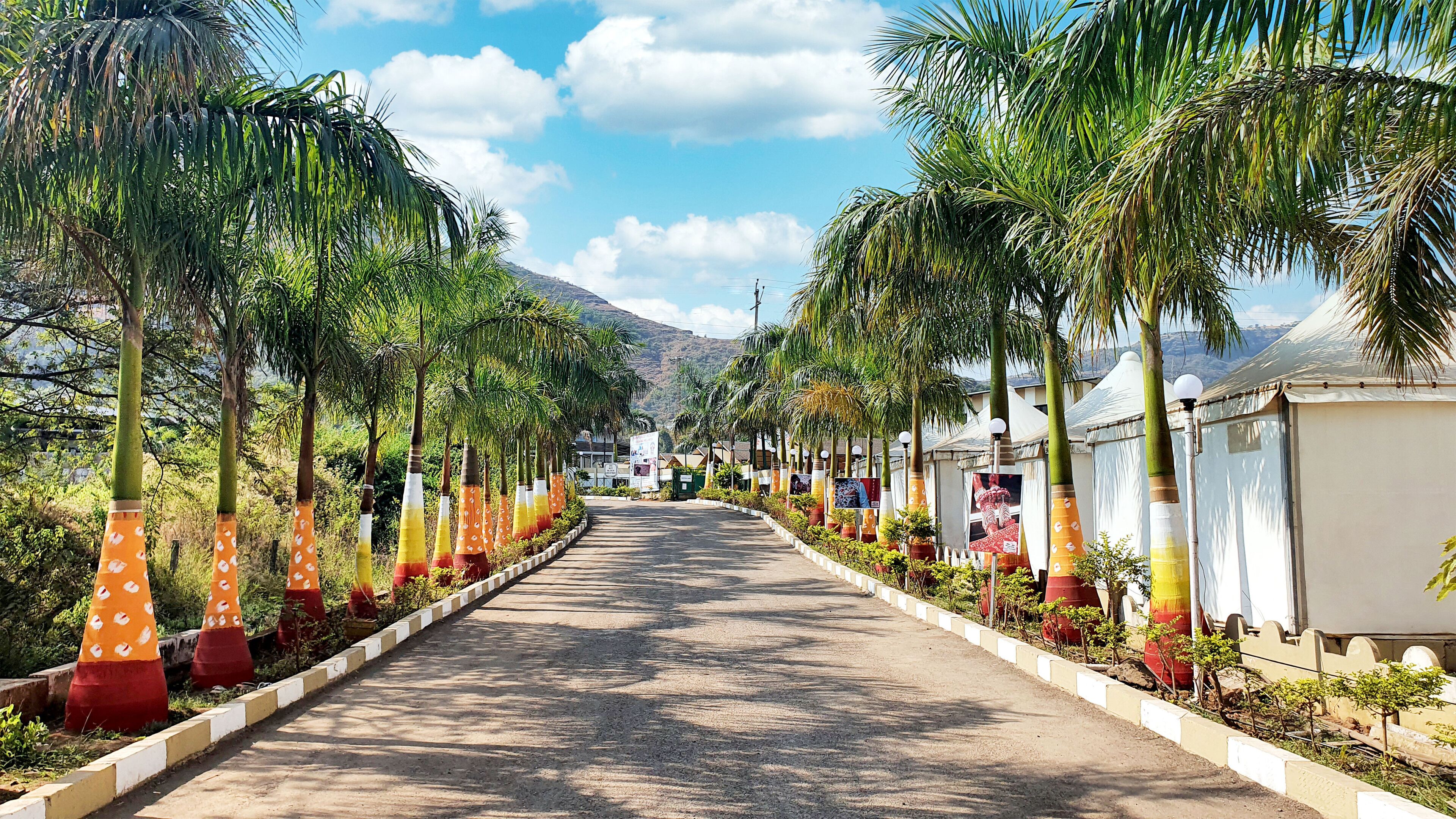 A pathway lined with palm trees and small potted plants, leading to a row of white tents with a mountain in the background.