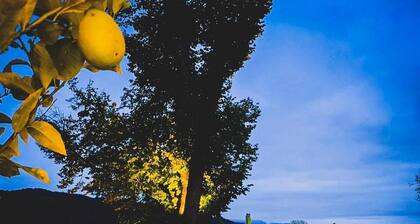 Villa Postillion am See