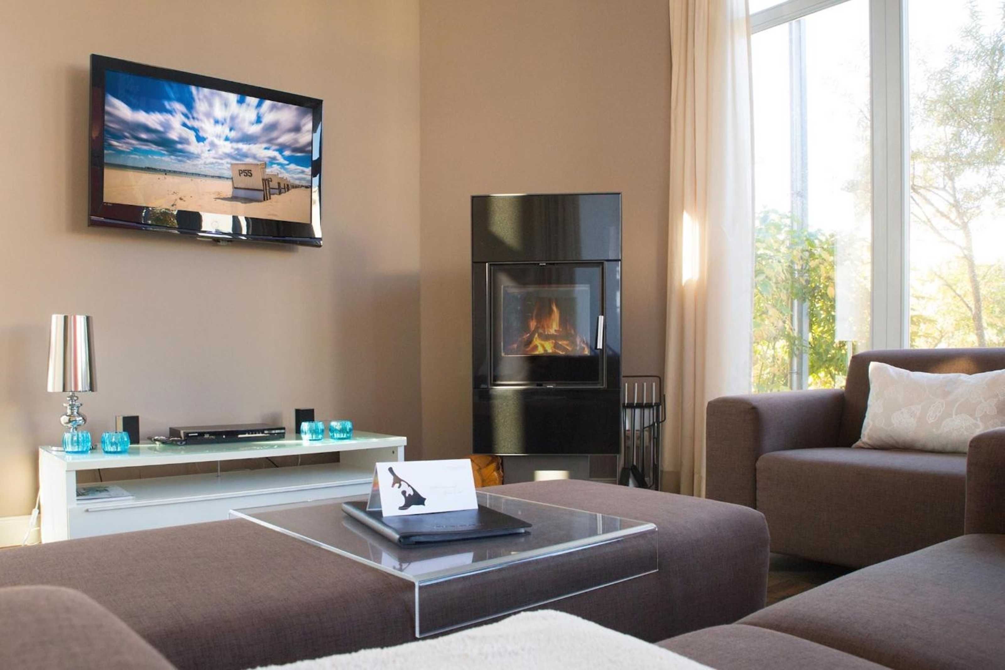 Fernseher, Kamin