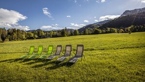 Uklassifisert bilde, 3 av 18, knapp