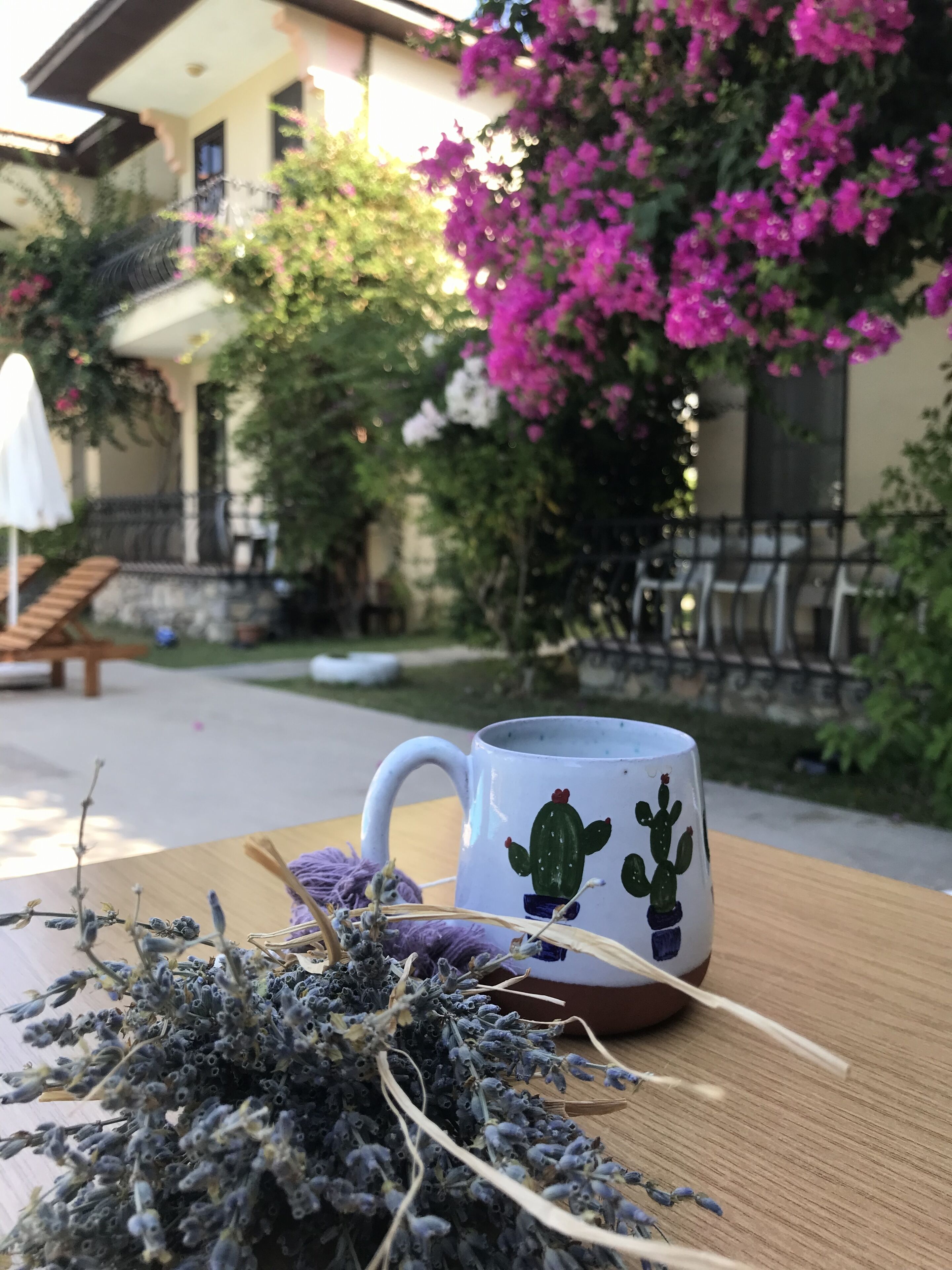 Una mesa con una taza blanca decorada con diseños de cactus, una pequeña planta en maceta y un banco de madera en un patio con flores rosadas y un edificio al fondo.