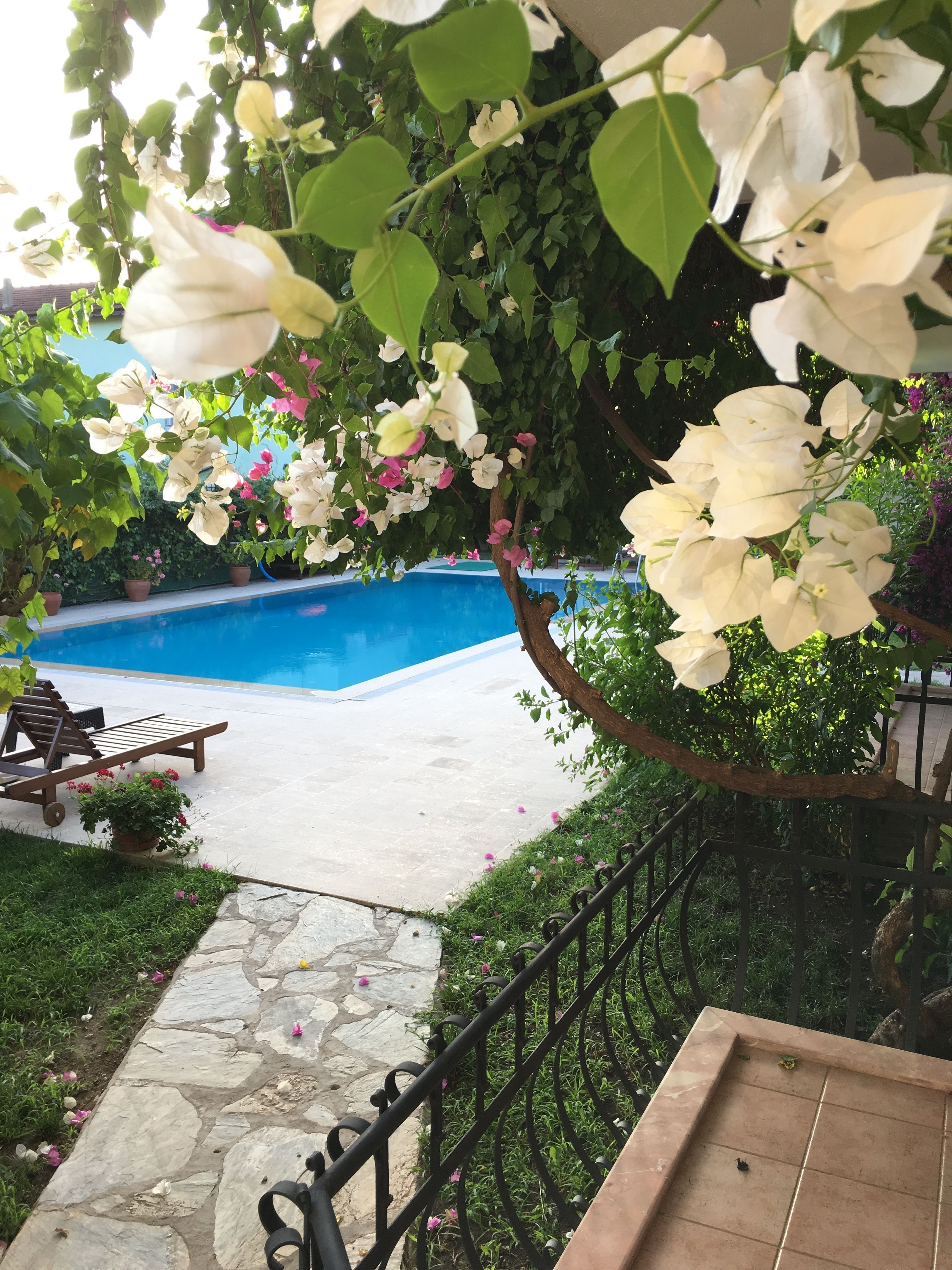 A poolside area with a stone pathway, a metal railing, and a bench.