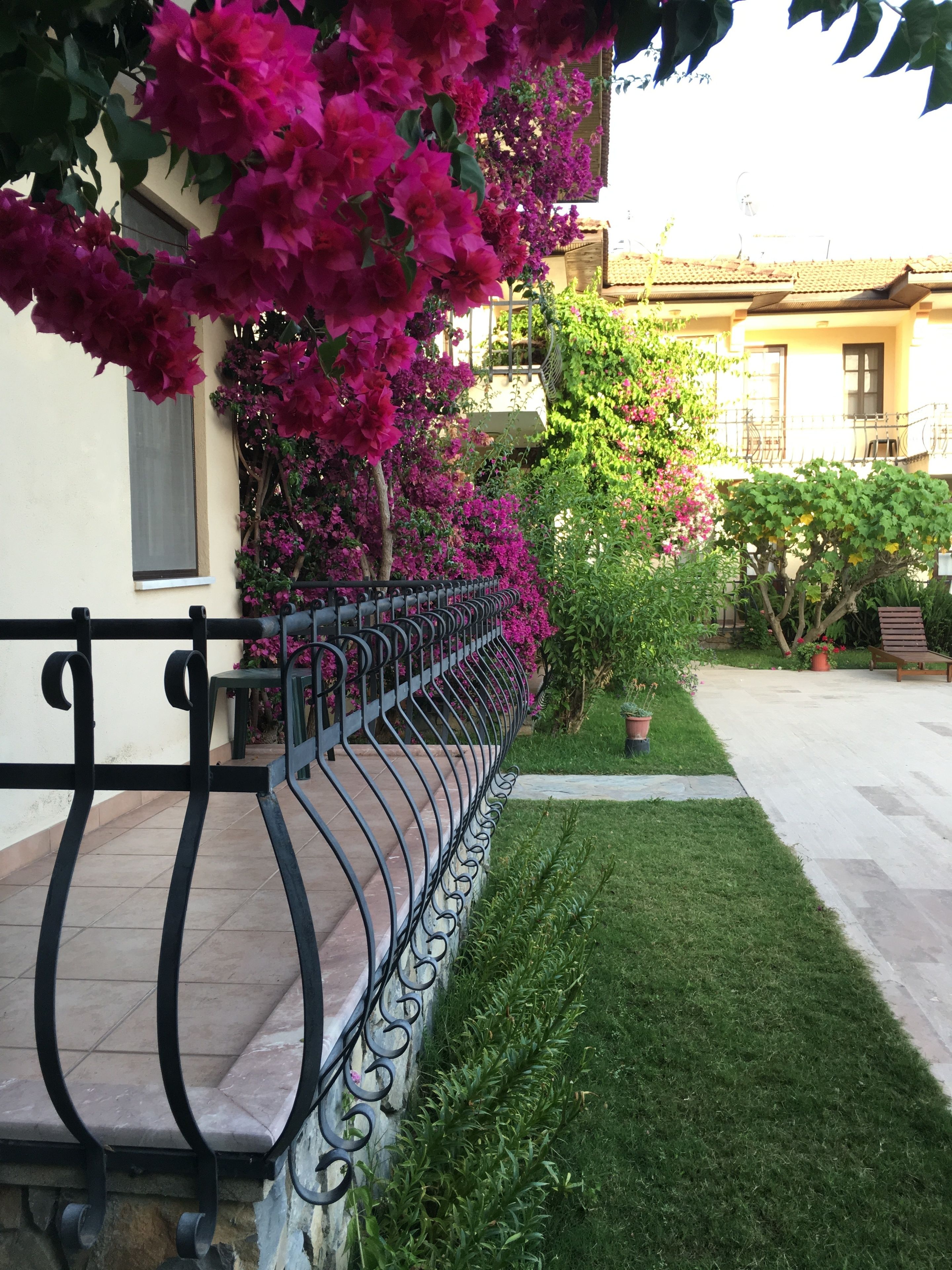 Un patio con suelo de baldosas, baranda metálica y diversas plantas, incluyendo buganvillas y otra vegetación.