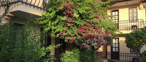Un immeuble résidentiel doté d’un balcon, d’un jardin agrémenté de plantes à fleurs et d’une antenne parabolique sur le toit.