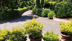 Un sendero pavimentado bordeado por macetas con plantas de hojas variegadas, que conduce a una puerta en un área de jardín exuberante y verde.