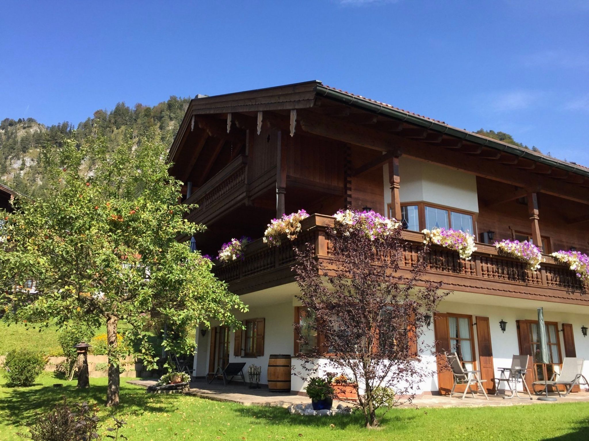 Un chalet traditionnel doté d’un balcon en bois, d’un jardin avec un arbre et offrant une vue sur les montagnes.