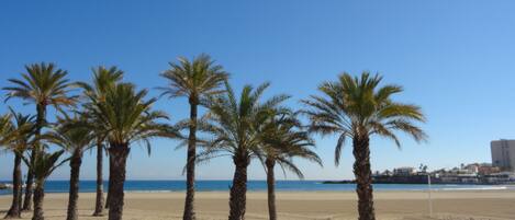 Beach nearby, sun loungers