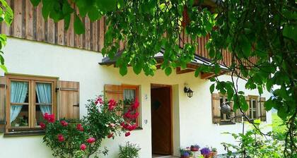 Apartment 35 sqm, balcony, living/bedroom with double bed, W-Lan, TV