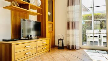 Fernseher, Kamin, Bücher