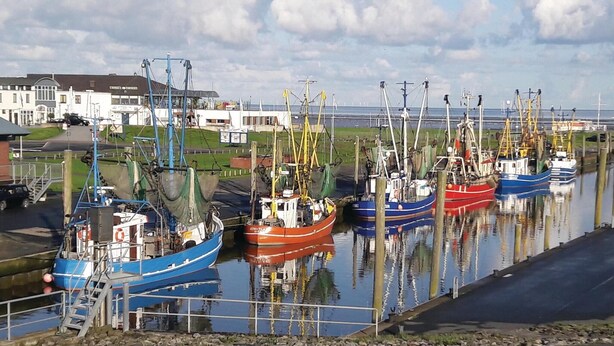Un porticciolo con diverse barche da pesca ormeggiate, un edificio dalla facciata bianca e un cielo sereno.