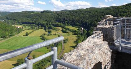 Apartment with balcony - Panorama Apartments Thiem