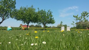 A grassy field with trees, a red building, and two white structures.