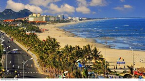 Una playa con palmeras, una carretera y edificios al fondo.