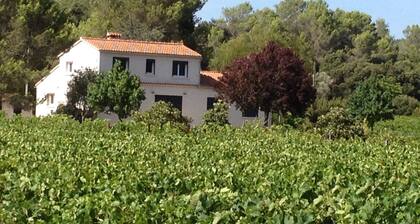 MAISON LOUBIERE (STUDIO, T2 et T4)