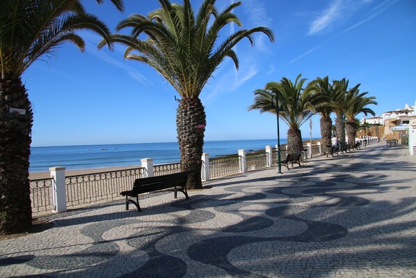A paved walkway with benches, palm trees, and a view of the sea.