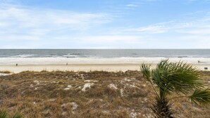 Ein Strand mit blauem Himmel, sandigem Ufer und einer Palme im Vordergrund.