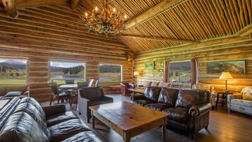 Télévision, cheminée, lecteur de DVD, livres