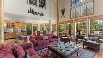 Télévision, cheminée, lecteur de DVD, livres