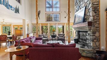 Televisie, een open haard, een dvd-speler en boeken