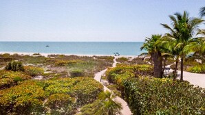 Une plage avec un sentier, des palmiers et l’océan.