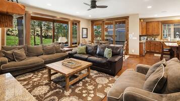 TV connectée, cheminée, Netflix, lecteur de DVD