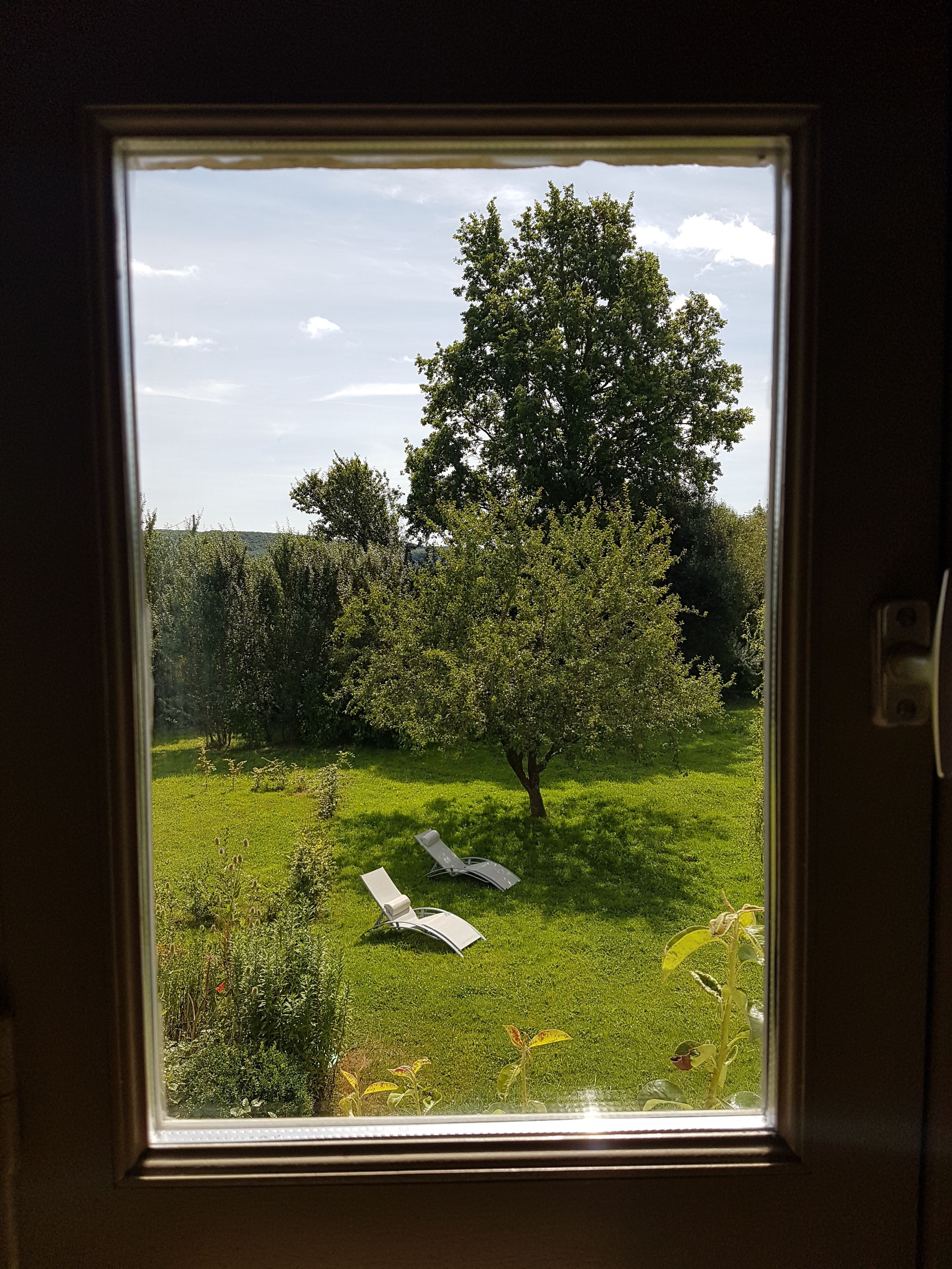 Una ventana con vista a un área verde, dos sillones de descanso y un árbol.