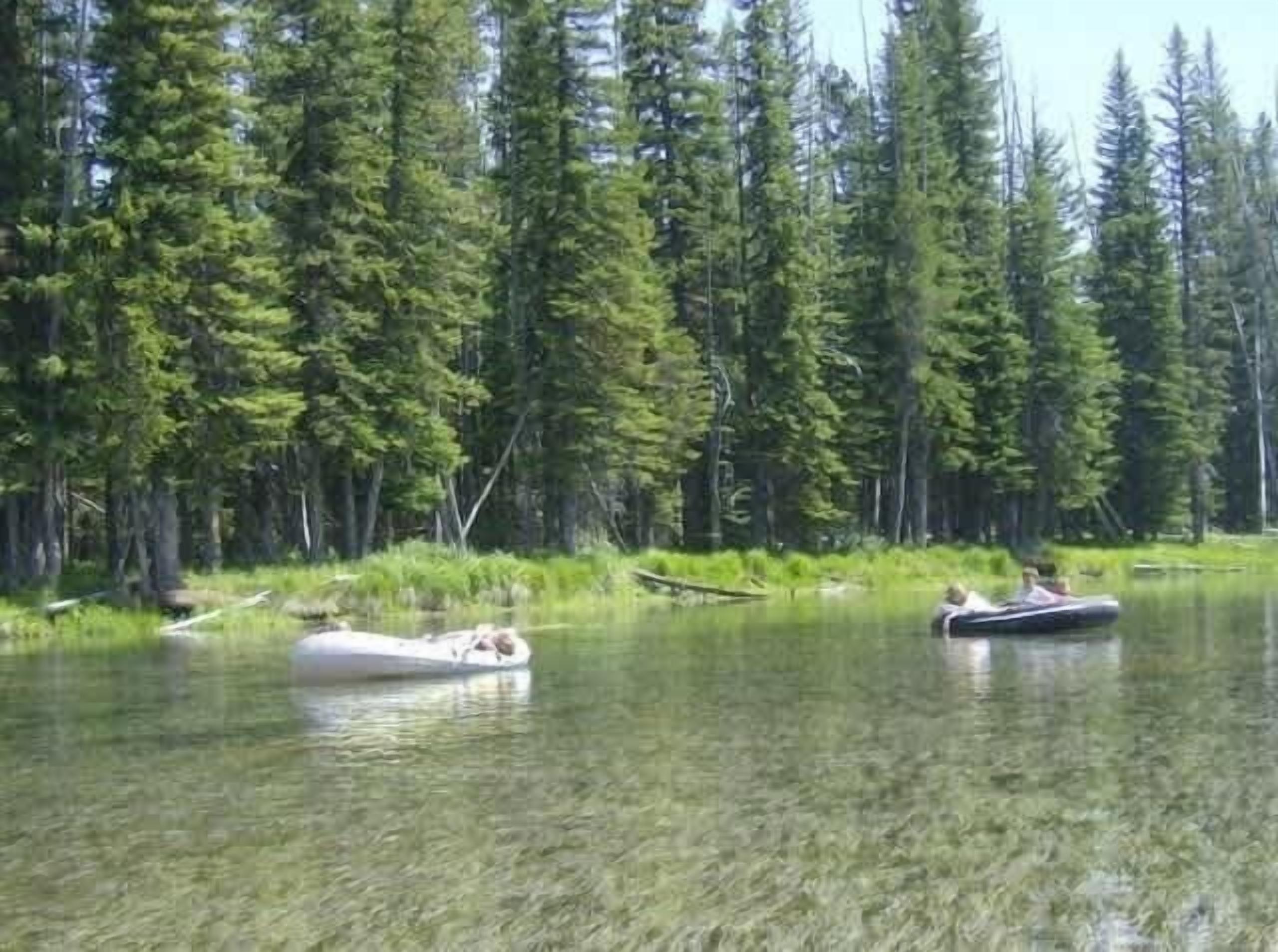 A calm lake surrounded by dense forest.