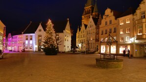 Een historisch stadsplein met een opvallende kerstboom en traditionele architectuur.