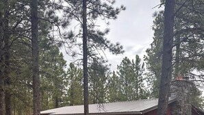 A cabin with a stone exterior, surrounded by tall pine trees. - Peaceful Mountain Cabin Near Lake Pactola – Perfect for Families or Couples (Rapid City)