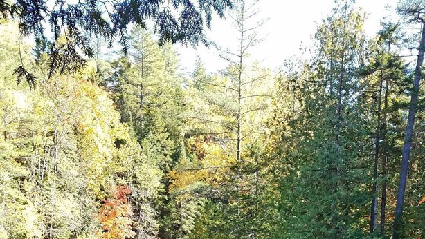 A person standing on a wooden bridge overlooking a waterfall in a forested area with autumn foliage. - Cottage on the Kennebec (Caratunk)
