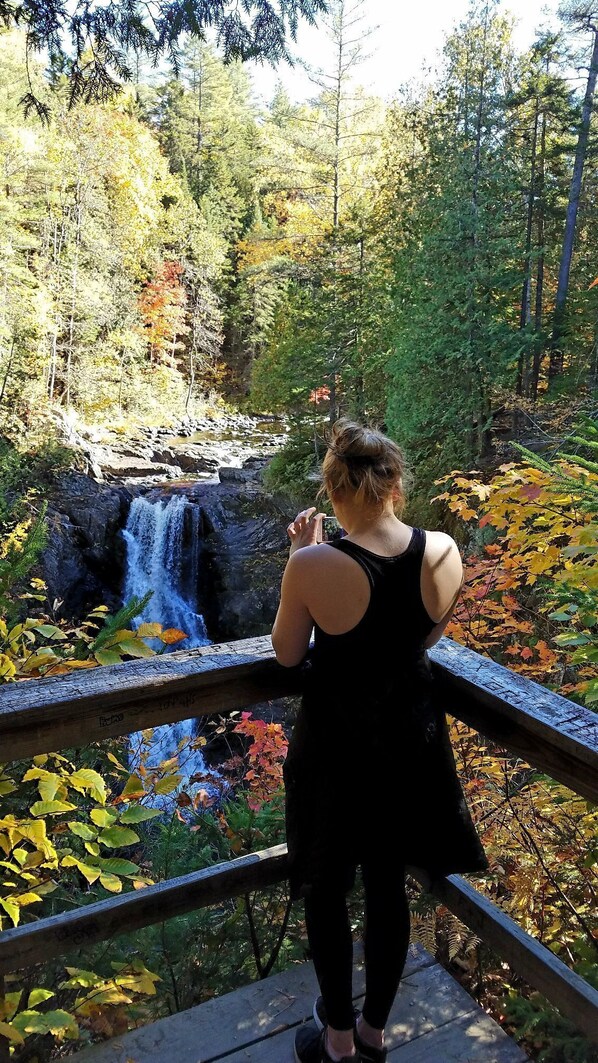 Property grounds - Cottage on the Kennebec (Caratunk)