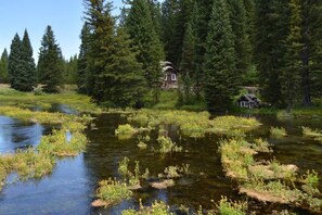 A cabin surrounded by dense forest and a calm river.