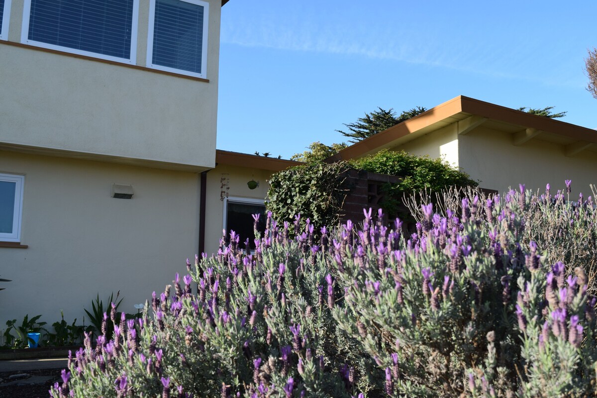Photo 17 of Birdies, Beaches and Butterflies in Pacific Grove! Pet Friendly-Premier location