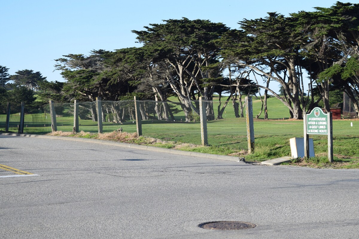 Photo 16 of Birdies, Beaches and Butterflies in Pacific Grove! Pet Friendly-Premier location