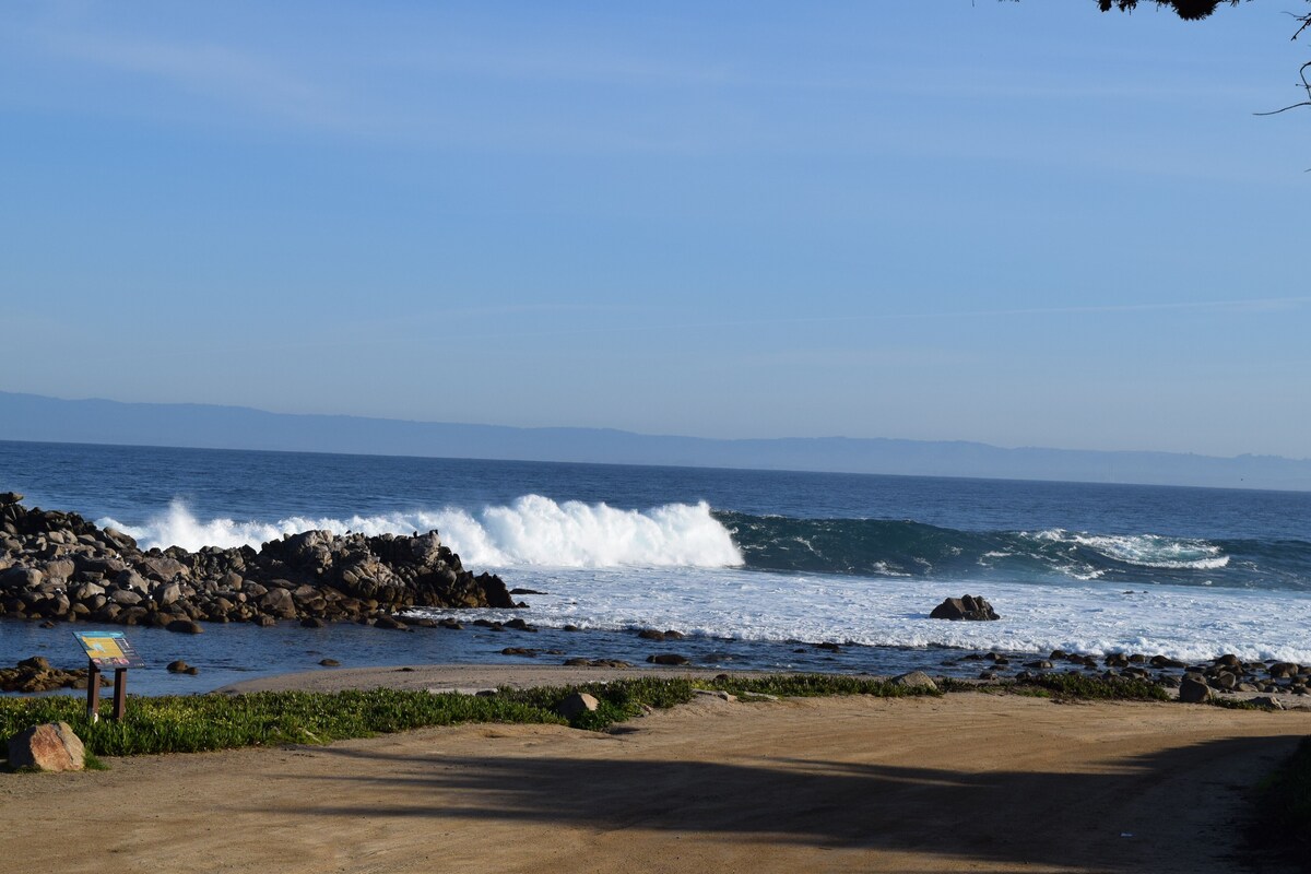 Photo 2 of Birdies, Beaches and Butterflies in Pacific Grove! Pet Friendly-Premier location