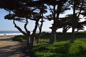 Property grounds - Birdies, Beaches and Butterflies in Pacific Grove! Pet Friendly-Premier location (Pacific Grove)